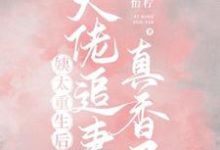 姨太重生后,大佬追妻真香了这本小说在哪里可以看?哪里有免费试读章节?-干果文学