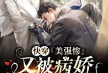 傅凉宋景渊是哪本书的主角?寻找快穿:美强惨又被病娇强制爱了免费阅读-干果文学