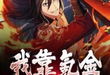 我靠氪金无敌诸界小说阅读,我靠氪金无敌诸界完结版-干果文学