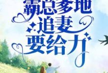 萌宝堵门:霸总爹地追妻要给力小说有没有完结版在线?-干果文学
