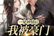 小说《一见钟情后,我被豪门总裁强娶了》章节免费阅读-干果文学