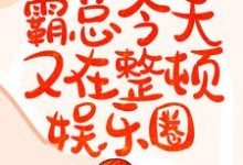 灵魂互换:霸总今天又在整顿娱乐圈小说,灵魂互换:霸总今天又在整顿娱乐圈钟阮星宋谨行-干果文学