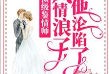 顶级鉴情师:风情浪子他沦陷了小说最新更新在哪里?免费在线看-干果文学