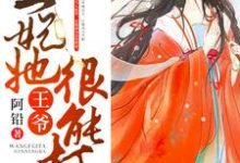 寻找能够免费阅读王爷,王妃她很能打小说的平台-干果文学
