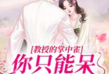 教授的掌中雀:你只能呆在我身边凌以星贺承墨小说在线章节目录阅读最新章节-干果文学