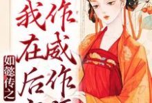 《如懿传之我在后宫作威作福》小说章节列表免费试读,魏嬿婉进忠小说在线阅读-干果文学