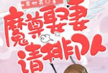 已完结小说《魔尊,娶妻请排队》在线章节阅读-干果文学