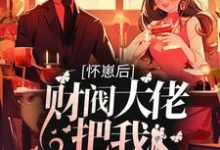 小说《怀崽后,财阀大佬把我娶回家》章节免费阅读-干果文学