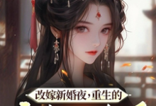 改嫁新婚夜,重生的亡夫回来了小说全文阅读需要付费吗?寻找免费资源-干果文学