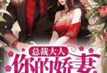 完结版《总裁大人,你的娇妻已跑路》章节阅读-干果文学