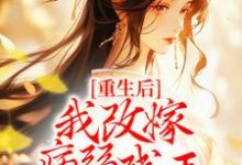重生后,我改嫁病弱残王扶他上位免费阅读,重生后,我改嫁病弱残王扶他上位慕容珩沈若惜-干果文学