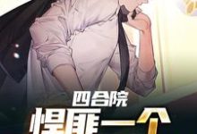 张朝阳傻柱的故事在哪本书里?免费阅读四合院:悍匪一个,谁都别惹我-干果文学