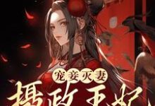 段司音上官谨为主角的小说叫什么?免费看宠妾灭妻?摄政王妃她不干了-干果文学