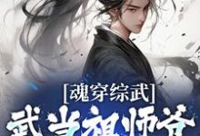 魂穿综武:武当祖师爷出山了张三丰小说免费阅读-干果文学