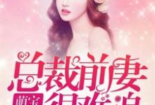 萌娃归来:总裁前妻很难追小说有没有完结版在线?-干果文学
