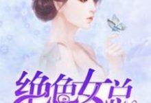 《绝色女总裁的全能保镖》小说主角任天丁君儿章节章节免费在线阅读-干果文学