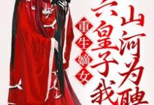 主角沈若凝顾青辞小说重生嫡女:六皇子我以山河为聘免费阅读-干果文学