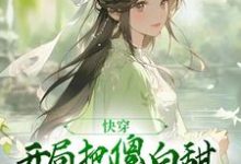 叶长安沈知许小说在哪里可以看-干果文学