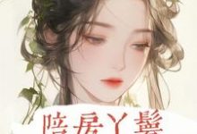 陪房丫鬟小说有没有完结版在线?-干果文学