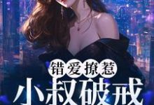 男主角时宴女主角南乔为主角的小说错爱撩惹:小叔破戒缠宠我在线阅读-干果文学