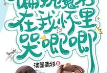君清寒祁泽兮是哪本书的主角?穿书,偏执魔君在我怀里哭唧唧免费读-干果文学