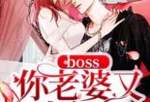 寻找boss你老婆又生气了小说的最新更新章节-干果文学