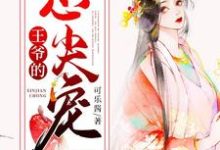 王爷的心尖宠免费阅读,王爷的心尖宠章节在线阅读-干果文学