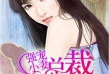 宠妻无度小说完结版章节免费阅读-干果文学