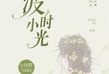渡,小时光(顾玖江珩)在线免费阅读-干果文学