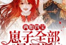 已完结小说《两胎四宝,崽子全部是反派》章节免费阅读-干果文学