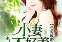 小说《惹爱成婚:小妻不好养》章节免费阅读-干果文学
