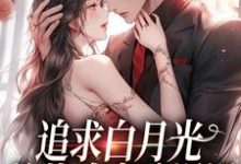 主角叫姜苒傅司寒小说追求白月光,总裁追妻路漫漫章节免费阅读-干果文学