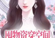 囤物资穿空间,去东北当小土豆这本小说怎么样?免费在线阅读试试-干果文学