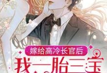已完结小说《嫁给高冷长官后,我一胎三宝被团宠了》章节在线阅读-干果文学