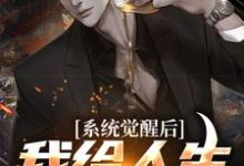 系统觉醒后,我给人生开了个挂小说全文哪里可以免费看?-干果文学
