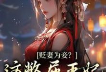 求贬妻为妾?这憋屈王妃我不当了小说的全文免费阅读链接-干果文学