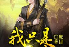韩凌辰星为主角的小说我只是一名侠士在线阅读-干果文学