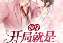 快穿:开局就是扶弟魔小说全文哪里可以免费看?-干果文学