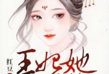 沈念真荣琛沈念珠苏穆婉为主角的小说叫什么?免费看王妃她又作妖了-干果文学