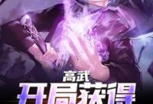 高武:开局获得氪命系统小说完结版章节免费阅读-干果文学