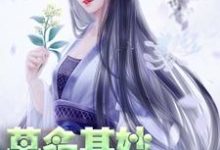 莫名其妙世子妃轩辕琼华君墨宸君墨安轩辕如卫,莫名其妙世子妃小说免费阅读-干果文学