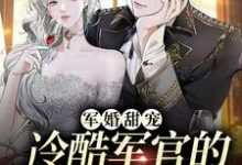 主角叫姜月陆煜小说军婚甜宠:冷酷军官的全能娇妻章节免费阅读-干果文学