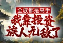 完结版《全族都是高手,我靠投资族人无敌了》章节阅读-干果文学