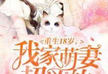甄珍秦煜林衍顾晓为主角的小说叫什么?免费看重生18岁:我家萌妻超凶的-干果文学