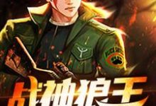 战神狼王 谷锋胡芸小说免费阅读-干果文学