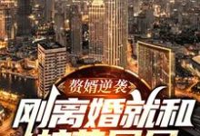 赘婿逆袭:刚离婚就和校花同居这本小说完结了吗?免费查看最新章节-干果文学