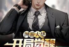网游大佬:开局觉醒红温系统苏晨小说在线章节目录阅读最新章节-干果文学