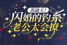 苏破天!闪婚的钓系老公太会撩最新章节,苏破天!闪婚的钓系老公太会撩免费阅读-干果文学