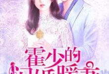 霍少的闪婚暖妻陆一语霍予沉小说在线章节免费阅读-干果文学