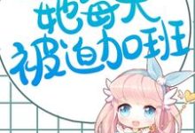 主人公叫桑以安江淮景的小说哪里免费看-干果文学
